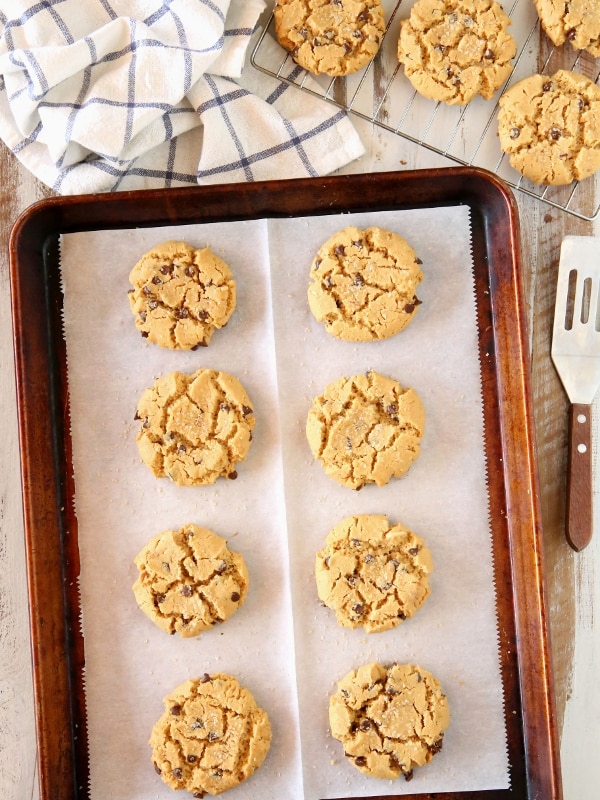 Flourless Peanut Butter Chocolate Chip Cookies | completelydelicious.com