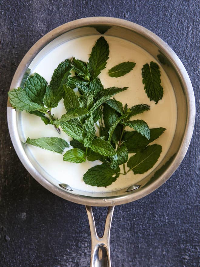 This mint chocolate chip ice cream is infused with real mint!