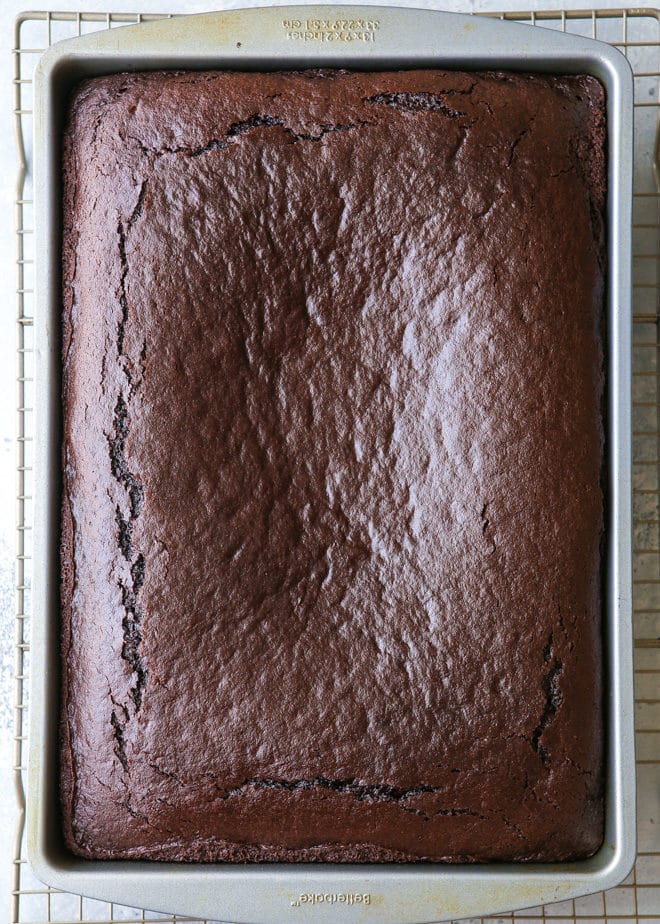 Simple chocolate sheet cake can be baked in a 9x13 pan or half sheet pan.
