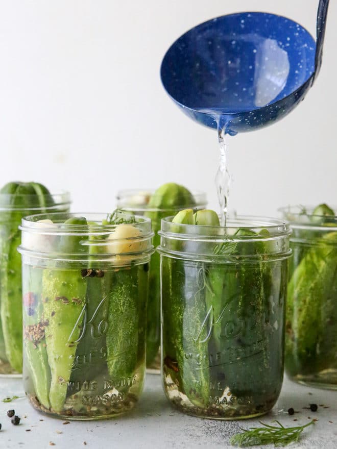 These quick pickles require no canning, just a chill in the fridge!