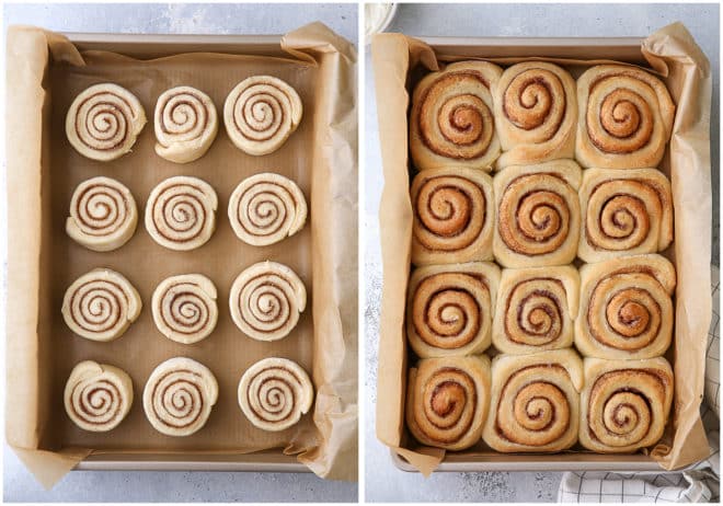 no-knead cinnamon rolls before and after baking