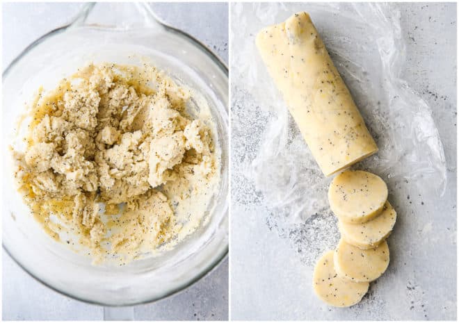 lemon poppy seed shortbread cookie dough in mixing bowl, and chilled and cut into rounds