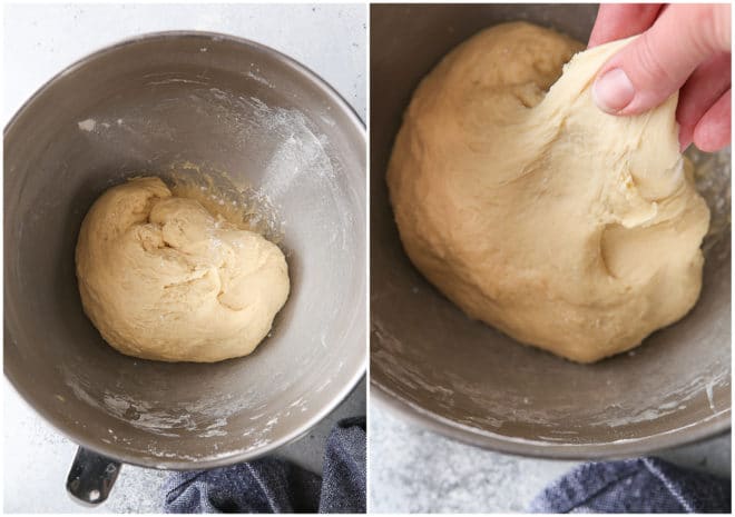 kneaded dinner roll dough