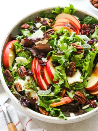 closeup of fall apple salad with serving spoon