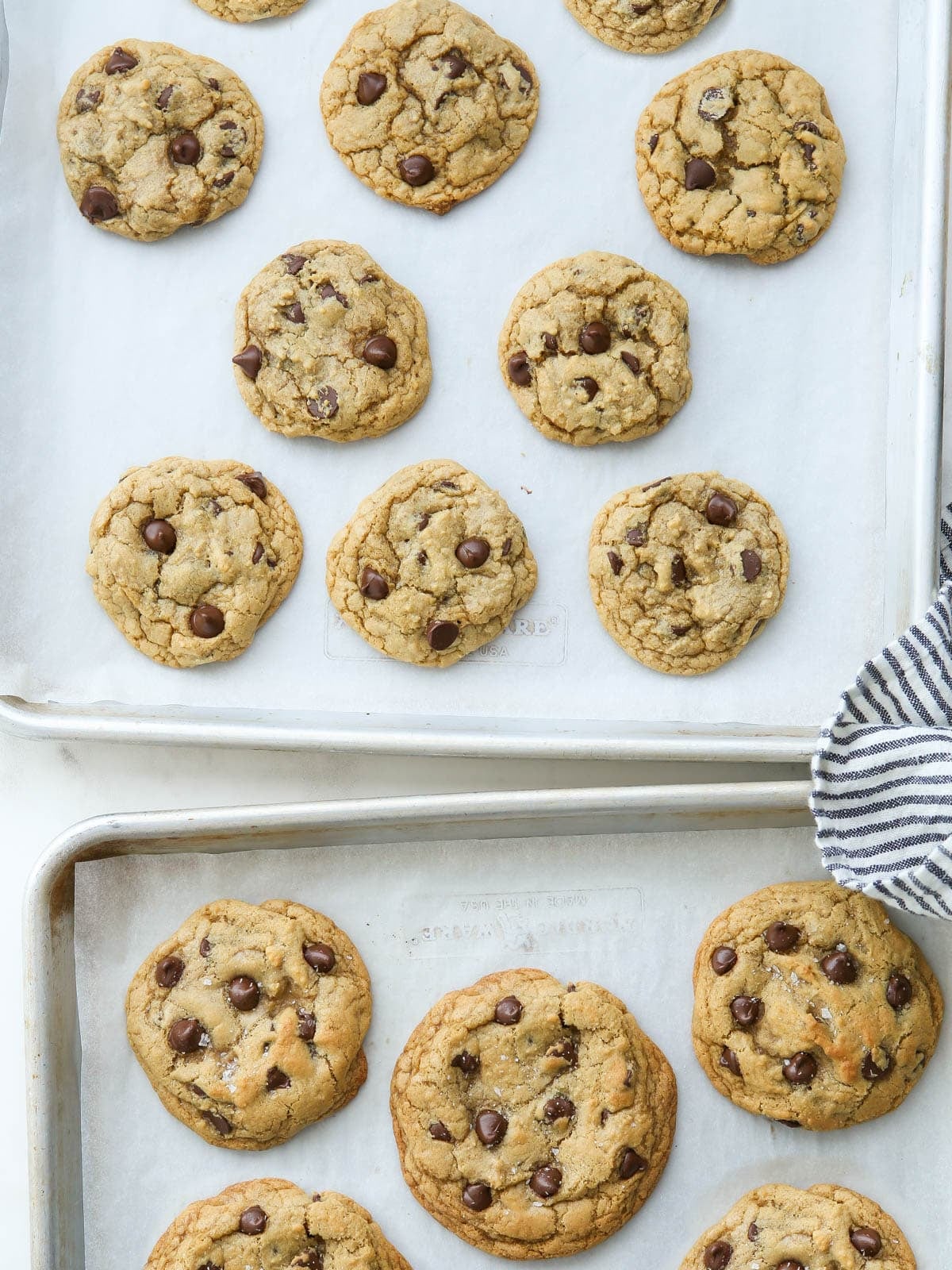 Small Batch Chocolate Chip Cookies - Completely Delicious