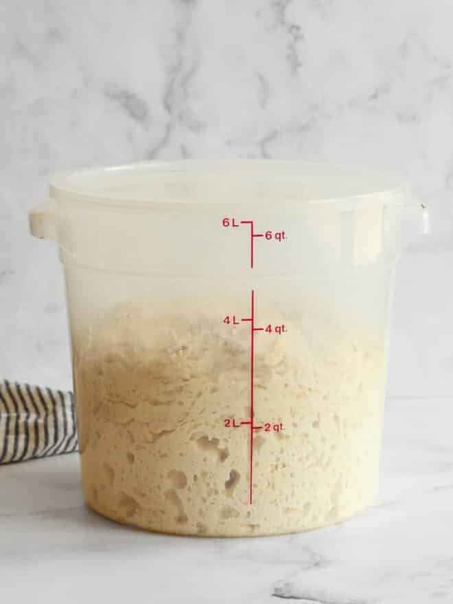 pizza dough in a plastic tub with measurement markings
